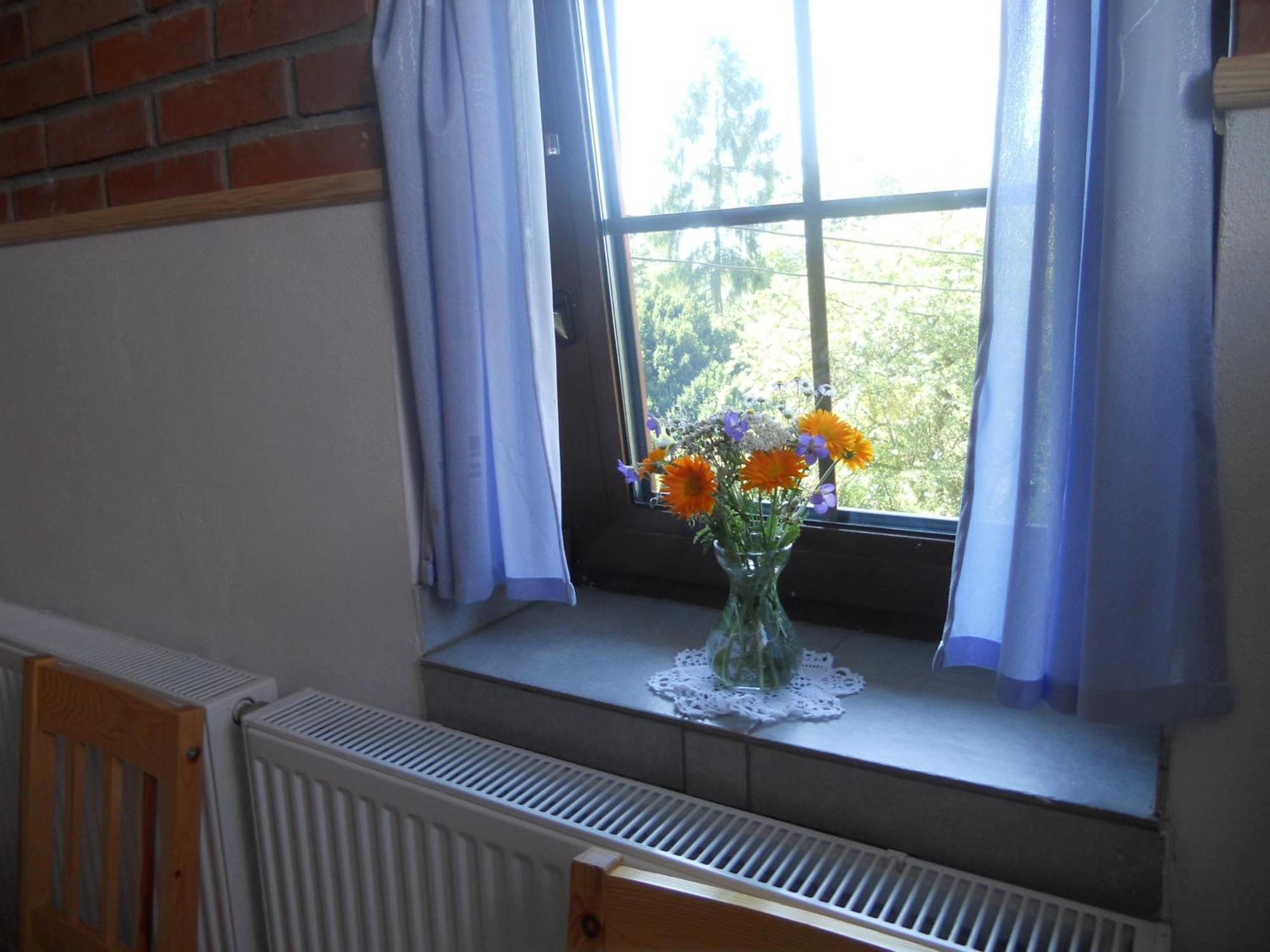 Villa Dwór w Boleniu Habitación foto