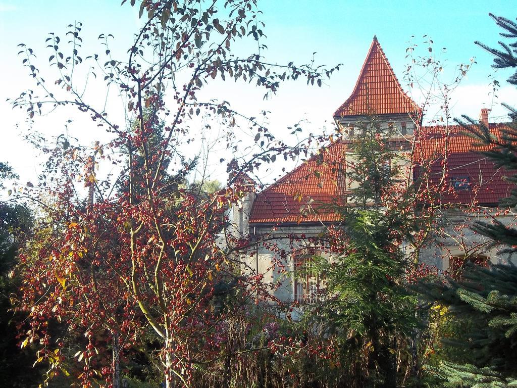 Villa Dwór w Boleniu Exterior foto